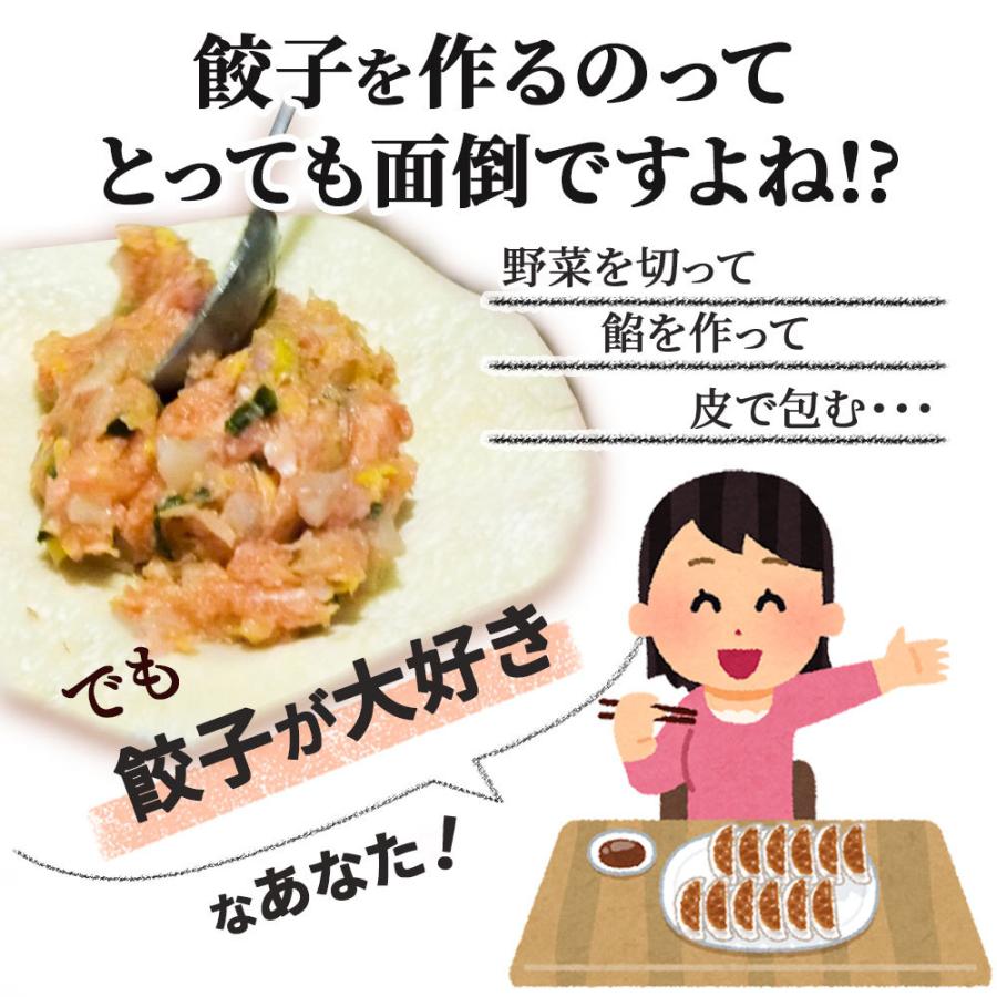 やまと豚 大きな肉餃子 45個 |[冷凍] 送料無料 お歳暮 御歳暮 2023 肉 食品 取り寄せ 冷凍餃子 餃子 お取り寄せグルメ ギフト 食べ物 中華 おつまみ 惣菜