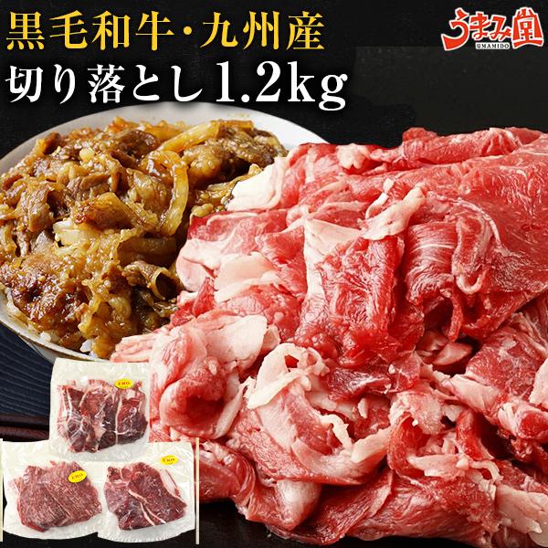 牛肉 九州産 黒毛和牛 切り落とし 1.2kg (400g×3) セット 宮崎 有田牧場 国産 送料無料 鍋 焼肉 プレゼント ギフト お取り寄せグルメ 高級 1kg 以上 [産直]