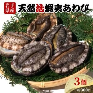 ふるさと納税 天然 活あわび 3個 約300g 刺身 産地直送 鮑 アワビ三陸産 蝦夷あわび 岩手県産 あわび 活あわび 冷蔵あわび 岩手県大船渡市