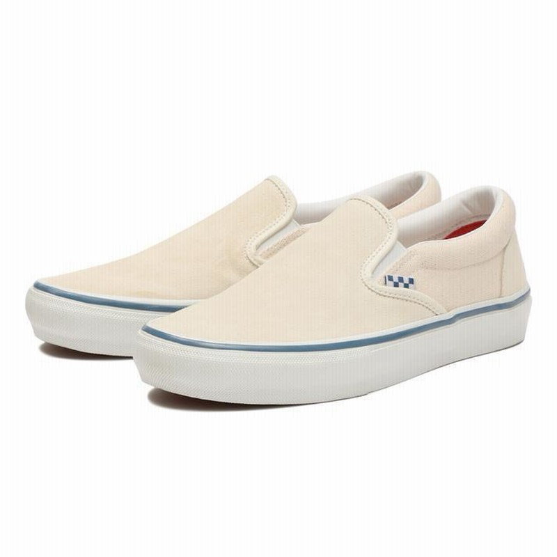 VANS ヴァンズ SKATE SLIP-ON スケートスリッポン VN0A5FCAACV CLASSIC