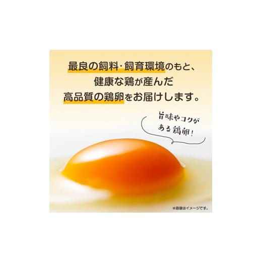 ふるさと納税 沖縄県 与那原町 与那原町産の 新鮮 な 卵 160個 赤卵 )_ 生卵 たまご 玉子 鶏卵 まとめ買い 卵かけご飯 朝ごはん 玉子焼き 人気 美味しい 【1…