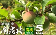 美郷町産「南高梅」 青梅  5kg＜期間限定＞