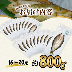 一夜干し風熟成天然波乗り鮎 約800g 16～20尾 干物 一夜干し 鮎 天然 熟成 あゆ アユ 天然鮎 清流 海部川 川魚 簡単調理 冷凍