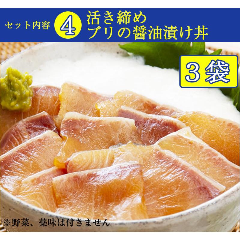 土佐の海鮮丼4種12袋セット（鯛、サバ、カンパチ、ブリ 各3袋）ぶっかけ漬け丼 宇佐もん工房 お歳暮 のし対応可