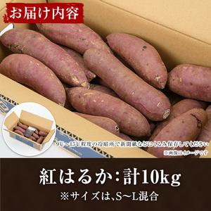 ふるさと納税 akune-2-151 ＜訳あり＞鹿児島県産さつまいも「紅はるか」(計10kg)国産 熟成 詰め合わせ 野菜 さつま芋 焼芋 鹿児島産 大小混.. 鹿児島県阿久根市