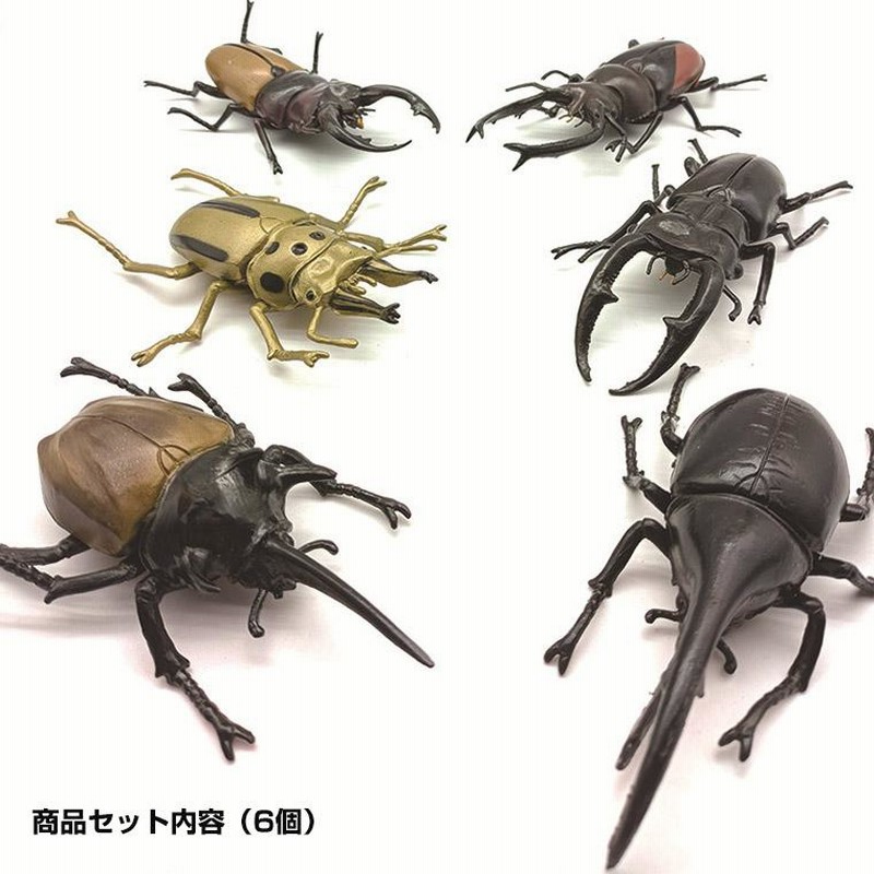 カブトムシ クワガタ 昆虫 セット 甲虫 大きい リアル おもちゃ、昆虫 模型 フィギュア コレクション | LINEブランドカタログ