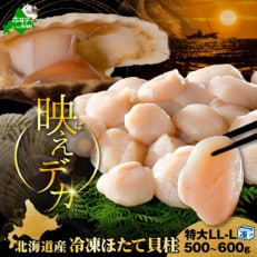  映えデカ! ほたて貝柱 500g ～600g 北海道産 生食用 刺身 冷凍