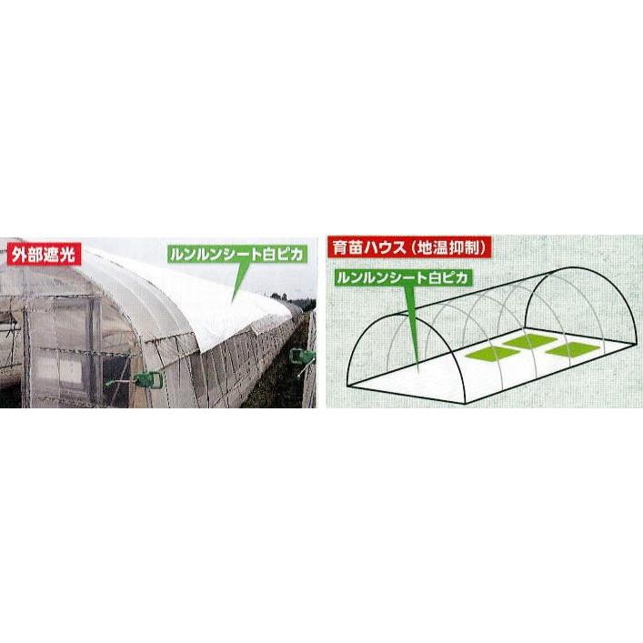 ルンルンシート 白ピカ 幅 50cm×100ｍ 光合成促進 遮熱性 防草シート 小泉製麻 (法人個人選択)