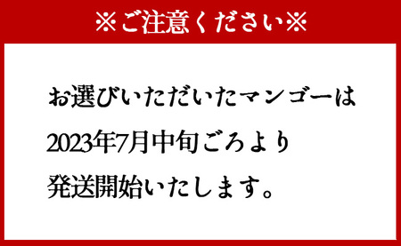 島マンゴー園の完熟マンゴー Ａ品 2kg マンゴー フルーツ