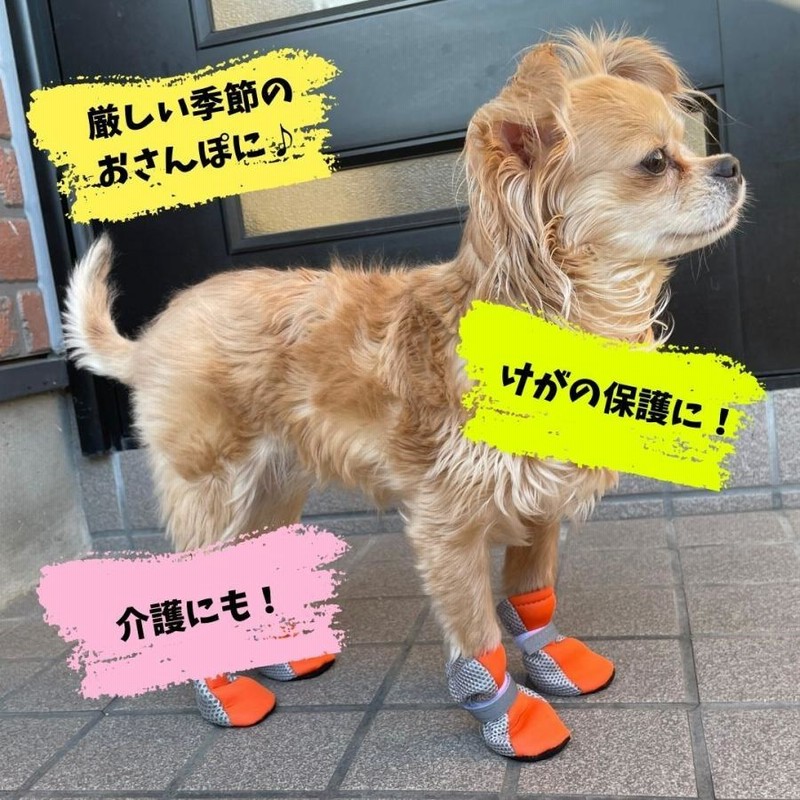 犬 靴 犬の靴 靴下 脱げない 滑り止め メッシュ ドッグシューズ 足裏保護 肉球保護 散歩 介護 火傷防止 けが防止 小型犬 中型犬 通販 Lineポイント最大0 5 Get Lineショッピング