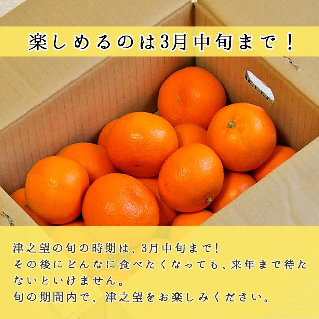 津之望 つののぞみ 5kg 和歌山産 減農薬 国産 送料無料 農家直送 産地直送