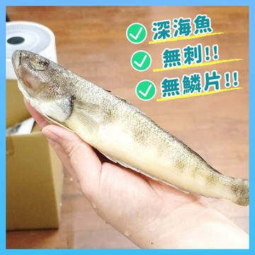 南極冰魚【甲上生鮮】