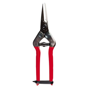 CHIKAMASA 近正 E-6C 農作業鋏 - 專業修枝剪 適用於採摘水果、蔬菜和花卉  1支