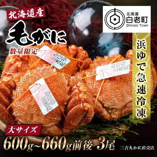 北海道産 冷凍ボイル毛ガニ (600g-660g前後) 3尾