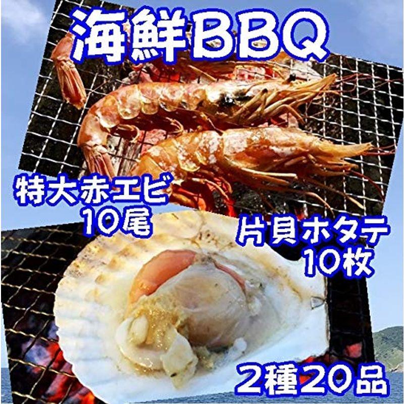 海鮮バーベキュー ホタテ・特大赤エビセット 2種20品 冷凍 片貝ホタテ10枚 天然特大赤エビ10尾