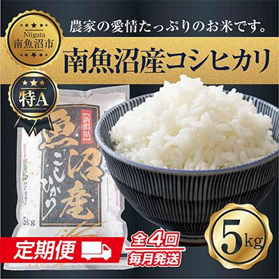 ふるさと納税 南魚沼市 新潟県 南魚沼産 コシヒカリ お米 5kg 精米 (美味しい炊き方ガイド付き)全4回