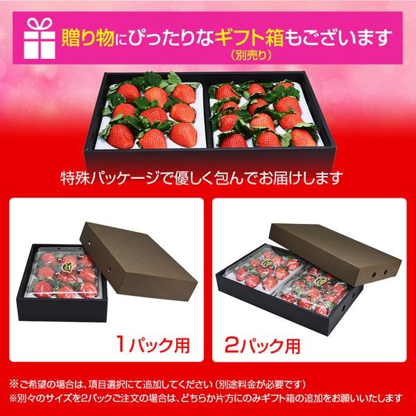 宮崎県産 大粒いちご 1パック380g以上(1粒あたり30〜39g) 日付指定不可 いちご イチゴ 苺