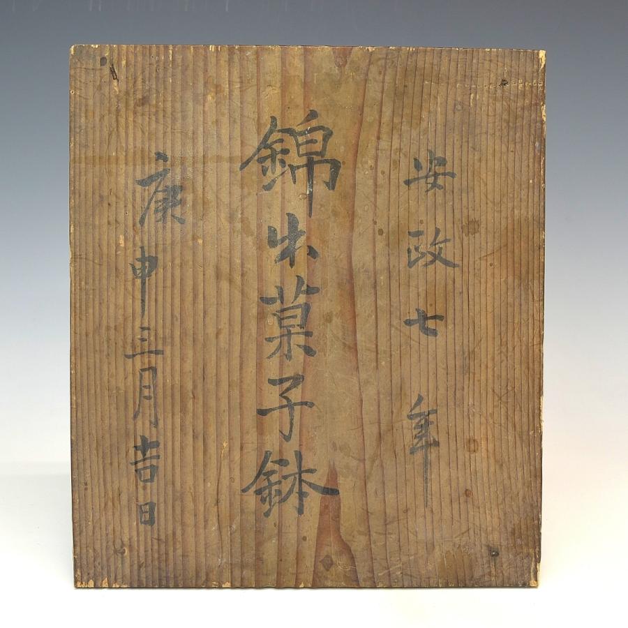  江戸時代　古伊万里花蝶図皿　幅２４ｃｍ　Ｕ１５８１