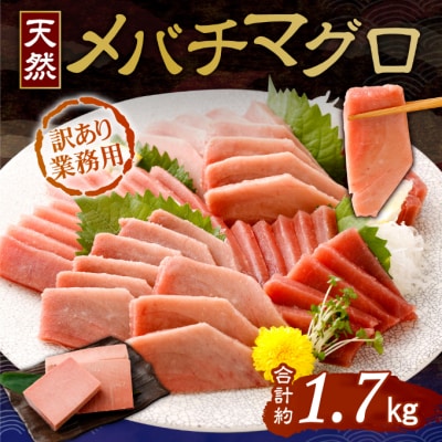 天然めばちまぐろ 業務用1.7kg