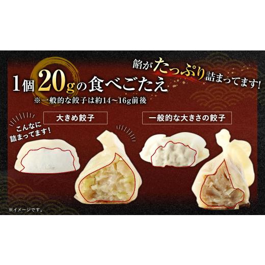 ふるさと納税 福岡県 遠賀町 ラー麦を使用した大きめ餃子 50個＆とんこつラーメン 5食付き 合計2kg