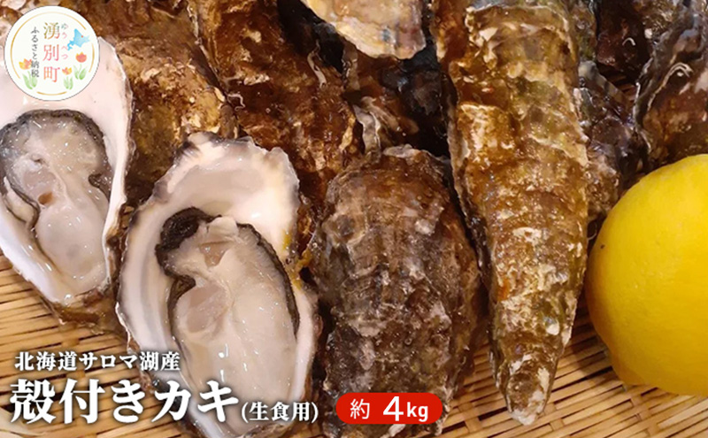 北海道 サロマ湖産 殻付き牡蠣 約4kg 生食用