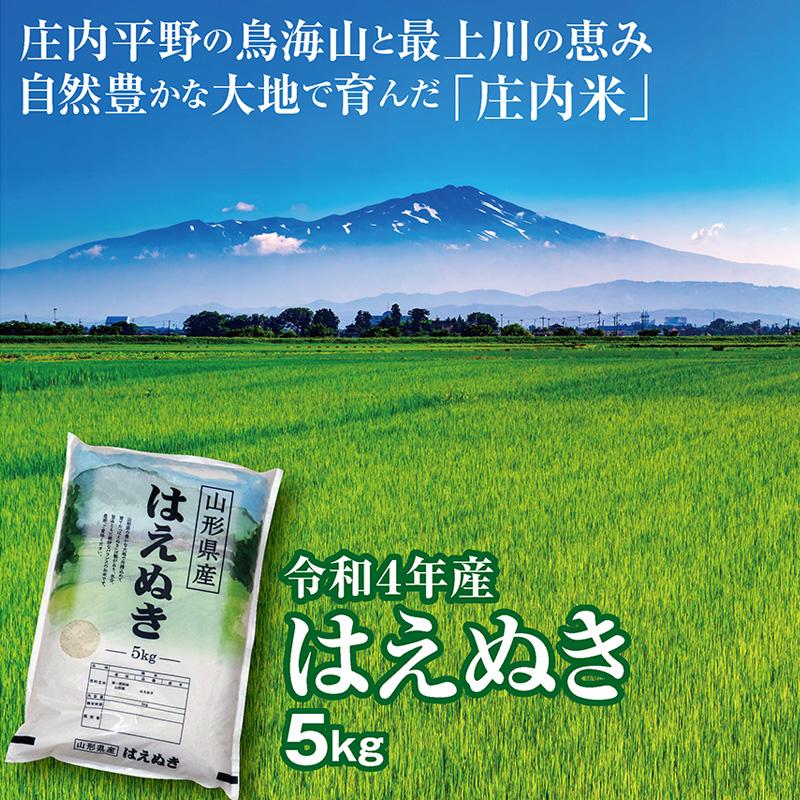 令和５年産 はえぬき５kg  山形県の米どころ庄内平野で育った庄内米 送料無料