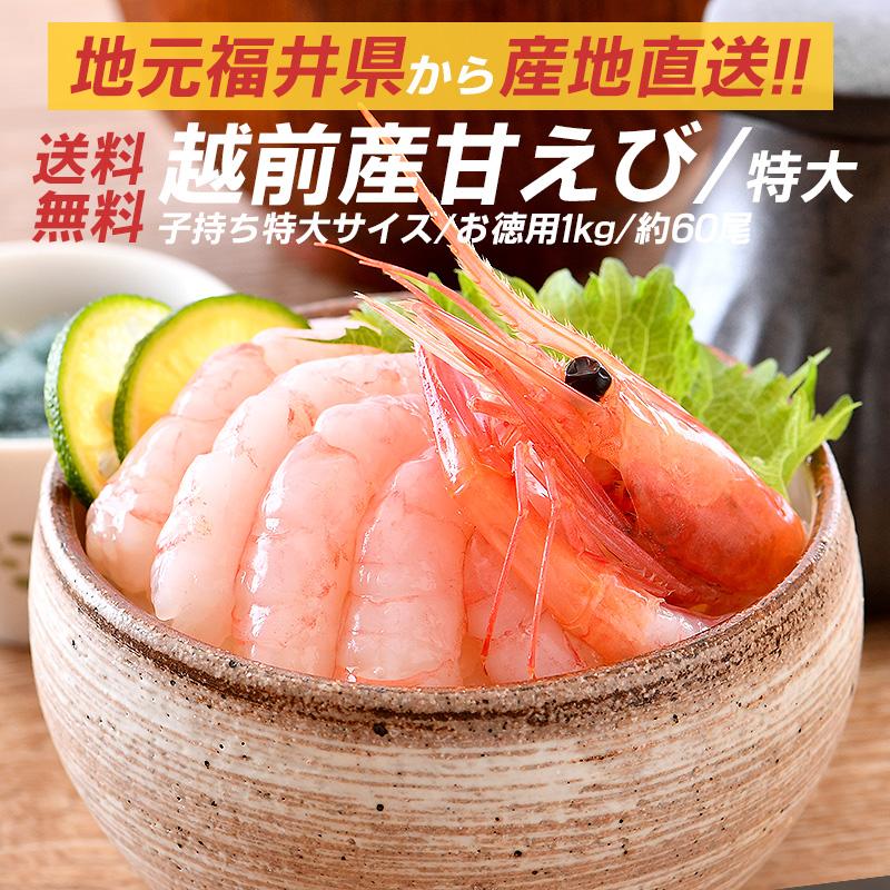 甘エビ 甘えび 特大 子持ち 刺身 1kg 500g×2箱 約60尾 冷凍 越前甘エビ 福井県 お歳暮 ギフト