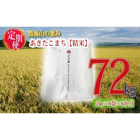 ふるさと納税 《定期便》12kg×6ヶ月 秋田県産 あきたこまち 精米 2kg×6袋 神宿る里の米「ひの米」（お米 小分け） 秋田県にかほ市