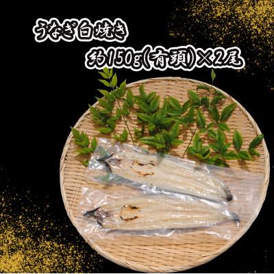 ふるさと納税 志布志市 鹿児島県産!秘伝のスタミナうなぎ白焼き2尾(計約300g)