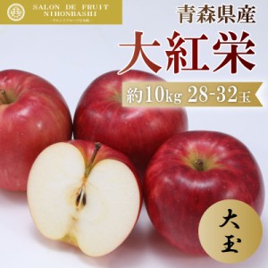 [予約 2023年10月15日-10月31日の納品] 大紅栄 約10kg 28-32玉 大玉サイズ 青森県産 りんご 果実専用箱 秋ギフト