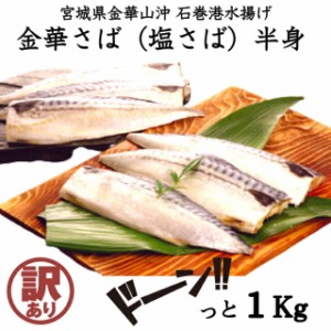 訳あり 金華塩さば半身（腹骨取り）1kg 送料無料 サバ 鯖 海鮮 冷凍 まとめ買い 大容量 food