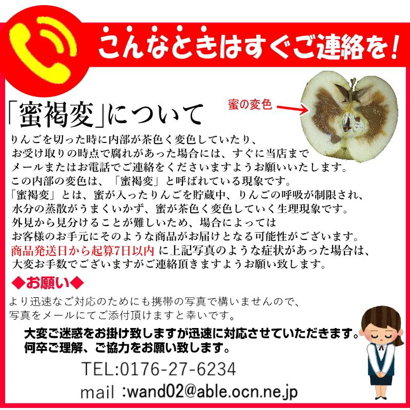 あすつく 青森 りんご 3kg箱 サンはるか 送料無料 家庭用 訳あり 青森 リンゴ 訳あり 3キロ箱★サンはるか 家訳 3kg箱