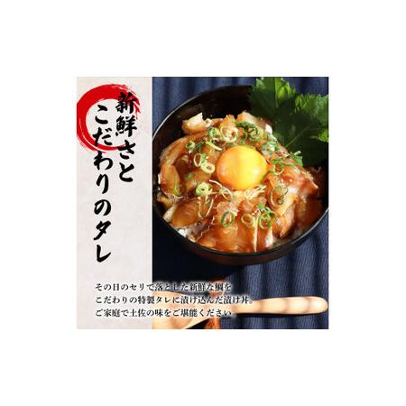 ふるさと納税 これが魚屋の漬け丼だ！〜鯛〜 《訳あり》 ８０ｇ×１０P タイ 鯛 たい 漬け丼 漬け どんぶり 丼 10パック 海鮮 魚 真空パック.. 高知県田野町