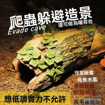 🔥爬寵專用🔥爬寵玩具 爬寵造景 爬寵躲避屋 仿真植物躲避 爬寵箱造景 躲避洞穴 曬臺仿真樹皮躲避洞烏龜水龜守宮爬寵鬃獅蜥