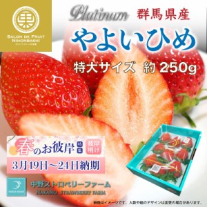 [予約 2024年1月5日-1月30日の納品] プラチナムやよいひめ 特大サイズ 6-12粒 約250g 群馬県産 DX 化粧箱 プレミアム 苺 いちご ギフト用