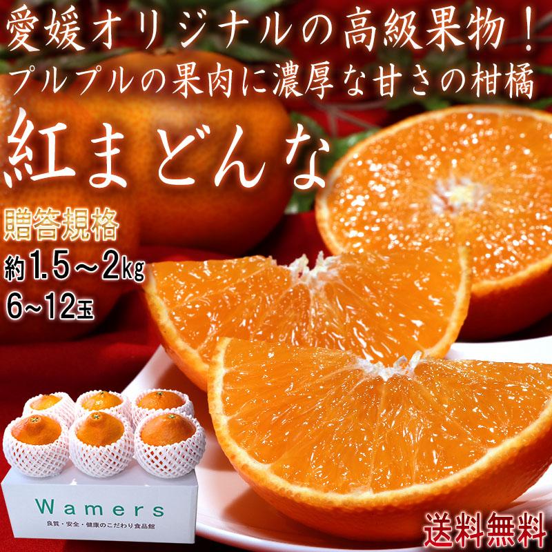 紅まどんな 約1.5〜2kg 6〜12玉入り 愛媛県産 贈答規格 愛媛オリジナルの高級フルーツ！プルプルの果肉に豊かな甘み