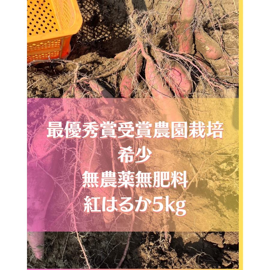 農薬不使用・無肥料・無農薬・自然栽培　茨城県産　さつまいも　紅はるか　およそ５kg