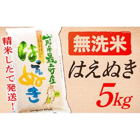 ふるさと納税 山形県産はえぬき5kg(5kg×1袋) 山形県最上町