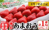 ＜予約受付中！2024年1月下旬より順次発送予定＞農家直送 朝採り新鮮いちご(計1080g・約270g×4P) ＜離島配送不可＞