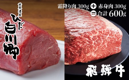 訳あり 飛騨牛ブロック [塊] 計600g 霜降り肉 赤身肉 ブロック肉 300g×2 食べ比べ 部位お任せ 不揃い BBQ 焼肉 焼き肉 ローストビーフ 20000円 2万円 [S046]