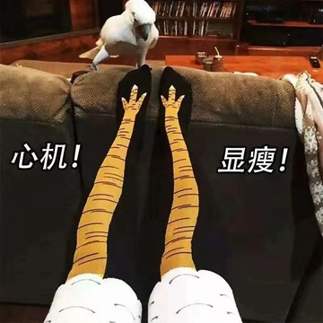 🔥臺灣出🔥鷄腳襪趙衕款搞笑個性瘦腿個性搞笑怪鷄爪襪長筒襪子