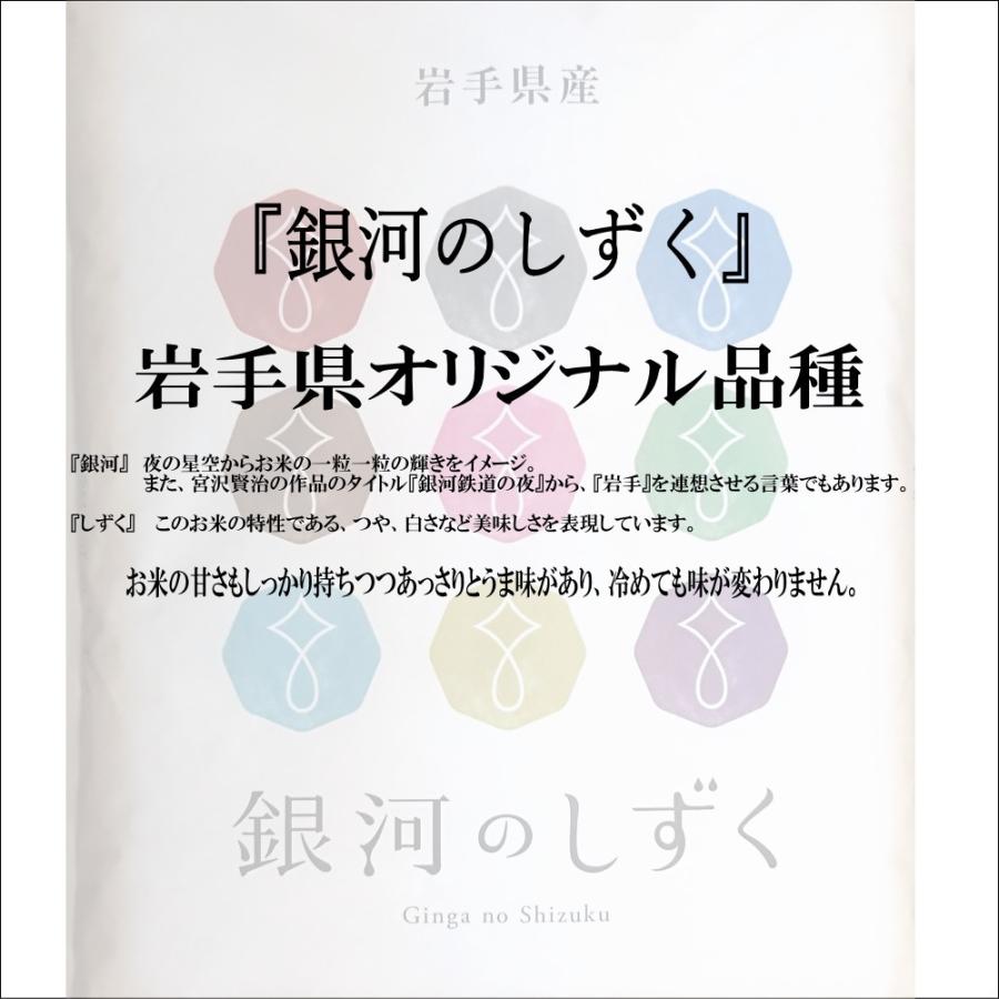 米 新米 令和5年 お米 5kg 無洗米 銀河のしずく 岩手県産 ご飯 ライス