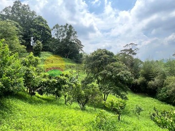 關西便宜渡假休閒地｜新竹縣關西鎮新城段