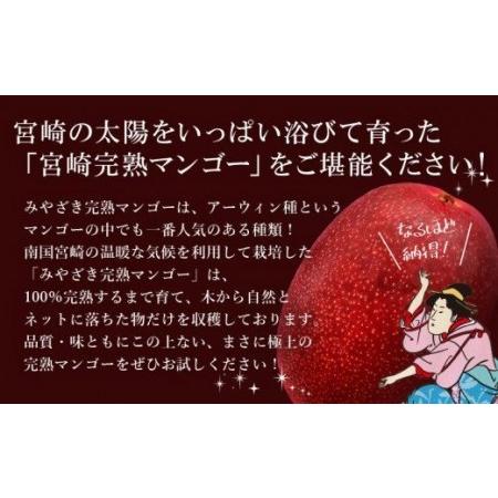 ふるさと納税 数量限定 おがたのマンゴー 宮崎完熟冷凍マンゴー 1玉分 (600g以上) 贈答品 小分けパック のし対応可 宮崎県宮崎市