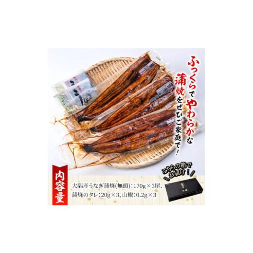 ふるさと納税 鹿児島県 鹿屋市 1387 大隅特産うなぎ蒲焼３尾（510ｇ）