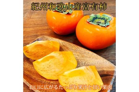 和歌山秋の味覚　富有柿　約3．５ｋｇ　「2024年11月上旬以降発送予定」