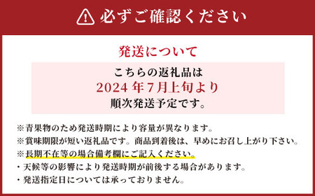 先行予約 産地直送 巨峰 約1.4㎏