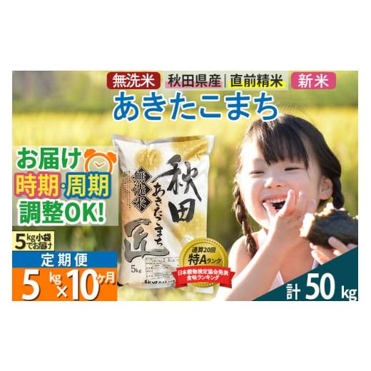 ふるさと納税 秋田県 仙北市 ＜新米＞《定期便10ヶ月》秋田県産 あきたこまち 5kg (5kg×1袋) ×10回 令和5年産 発送時期が選べる 周期調整OK 隔月…