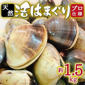 ふるさと納税 天然はまぐり約1.5kg (千葉県産) 千葉県いすみ市