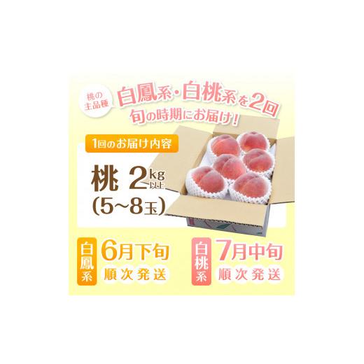 ふるさと納税 山梨県 甲州市 完熟桃食べ比べ 2kg以上×2回送り（HK）C1-442